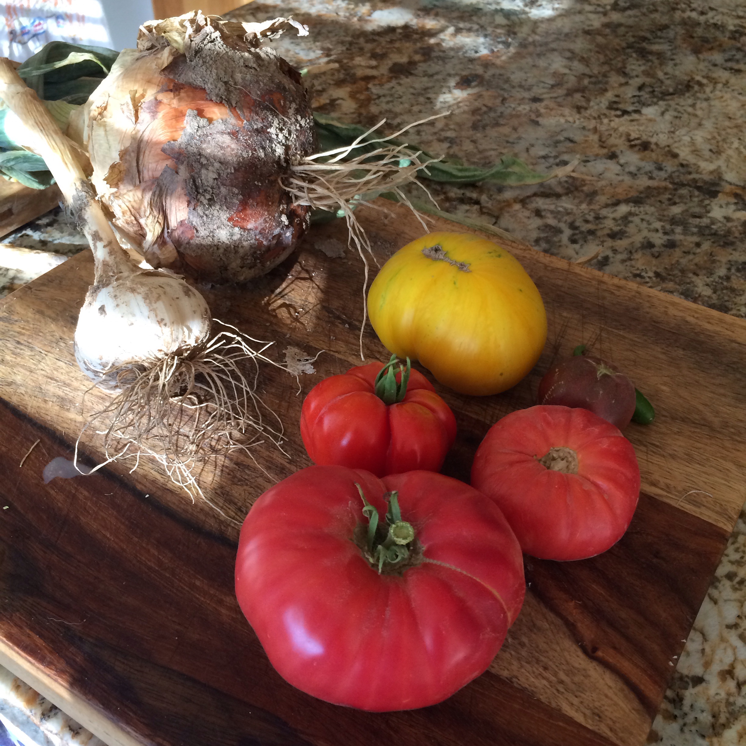 Making farm salsa with our farm fresh heirloom tomatoes, farm onion and garlic even the jalapeño is farm fresh
