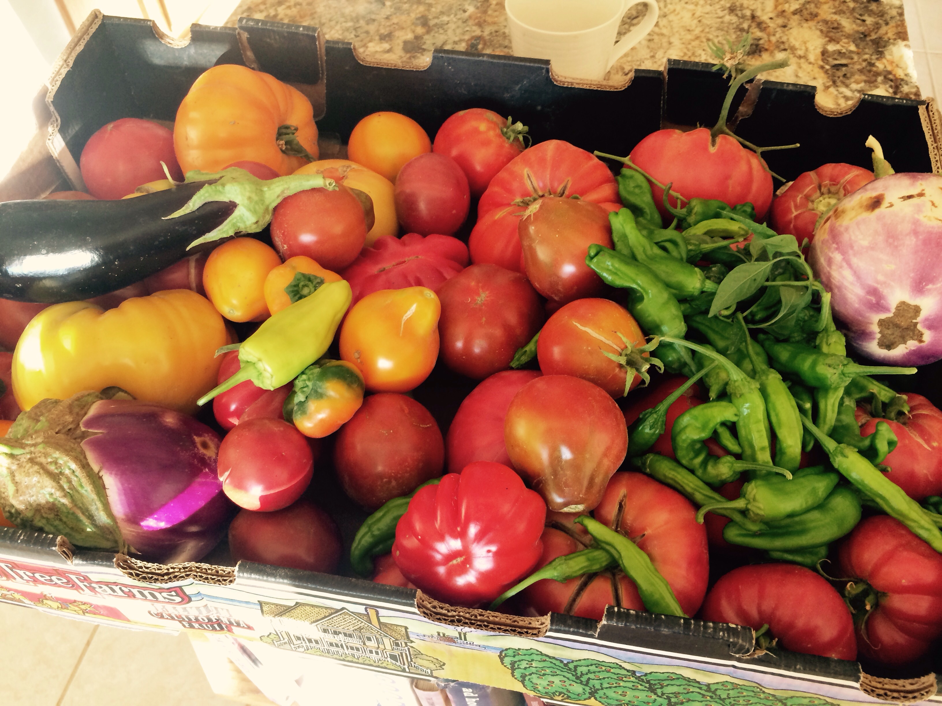 Peppers, eggplant, hierloom tomatoes 